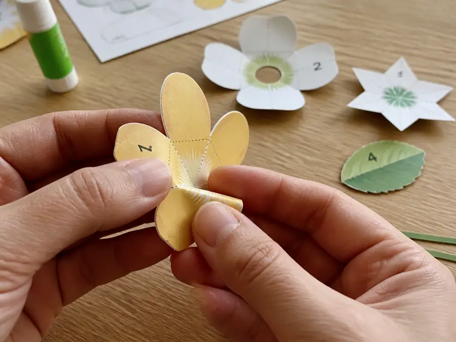 Folding a numbered paper piece